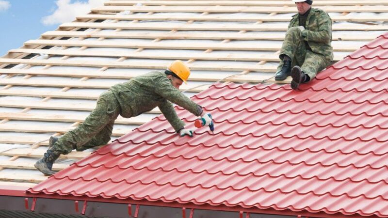 Tejas En El Salvador