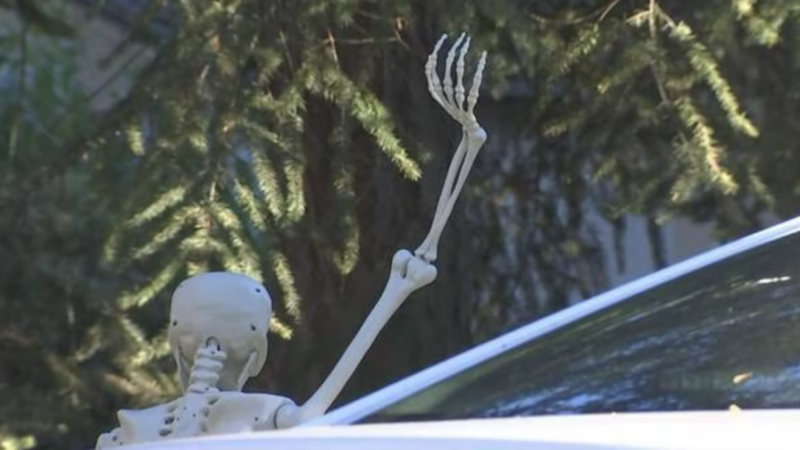 Lakewood Washington Lewd Skeletons