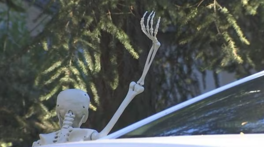 Lakewood Washington Lewd Skeletons